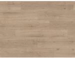 Parador Vinylboden Basic 30 Eiche Infinity Grau