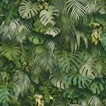 Bricoflor Tapete mit Palmenbl&auml;ttern in Gr&uuml;n 3D Tapete mit Monstera Design f&uuml;r