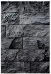 Ayyildiz Kurzflorteppich Parma 9250 Schwarz 200 cm x 290 cm