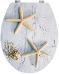 MSV WC-Sitz Seestern MDF 42,5 cm x 36,5 cm x 5 cm Beige