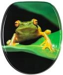 Sanilo WC Sitz mit Absenkautomatik Frosch Gr&uuml;n, Hochwertiger und Stabiler