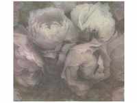 Bricoflor Shabby Tapete mit Rosen Romantische Vliestapete mit Blumen in Altrosa