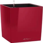 Lechuza&reg; Pflanzgef&auml;&szlig; Cube Premium 50 cm x 50 cm Scarlet Rot hochglanz