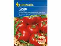 Kiepenkerl Profi-Line Tomaten Harzfeuer F1-Hybride