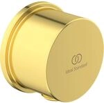 Ideal Standard Brauseschlauchanschluss Idealrain Atelier rund Brushed Gold
