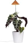 Parus by Venso LED-Pflanzenlampe Sunlite 7 W Kupfer
