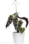 Parus by Venso LED-Pflanzenlampe Sunlite 7 W Wei&szlig;