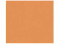 Bricoflor Orange Tapete für Kinderzimmer Terracotta Vliestapete Neutral für