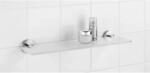 Wenko Glas Wandablage Bosio Edelstahl