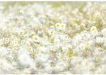 Sanders & Sanders Fototapete G&auml;nsebl&uuml;mchen Gelb Wei&szlig; und Gr&uuml;n 368 x 254 cm 612139