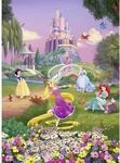 Disney Fototapete Dinsey-Prinzessinnen Multicolor 184 x 254 cm 612279