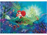 Komar Fototapete Ariel' s Castle 368 cm x 254 cm FSC®
