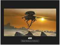Komar Wandbild Star Wars Droid 40 x 30 cm