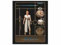 Komar Wandbild Star Wars Toy Rey 40 x 50 cm
