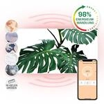 Klarstein Wonderwall Air Art Smart Infrarotheizung Wandinstallation App-Steuerung