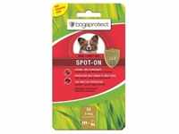 Bogaprotect Spot-On Floh- und Zeckenschutz für Hunde XS 3 x 0,7 ml