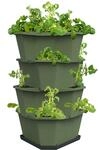 Gusta Garden Anzuchtsgef&auml;&szlig; Paul Potato 56 L dunkelgr&uuml;n