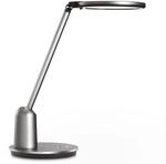 Philips Arbeitsleuchte Einstein 15 W 2800-5100 K 630,m mit Netzkabel Dunkelgrau