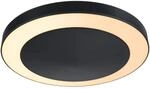 Paulmann LED-Outdoor-Deckenleuchte Circula 230 V ZigBee mit Sensor Anthrazit