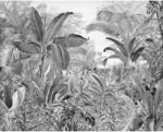 Komar Vliesfototapete Roraima 350 cm x 280 cm