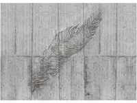 Komar Vliesfototapete Concrete Feather 350 cm x 250 cm
