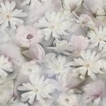 Bricoflor Helle Tapete mit Magnolien Blumentapete in 3D Optik Vliestapete mit Blumen