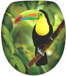 Sanilo WC Sitz mit Absenkautomatik Toucan, Hochwertiger und Stabiler Toilettendeckel