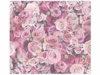 Bricoflor Rosen Tapete in Rosa Pink Romantisches Tapeten Panel für Schlafzimmer
