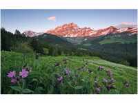 Vlies Fototapete Picturesque Switzerland 450x280 cm