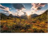 Vlies Fototapete Norwegische Herbstwelten 450x280 cm