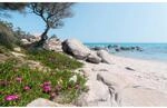 Sanders & Sanders Fototapete Strand Gr&uuml;n Grau und Blau 450 x 280 cm 612642
