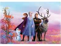 Komar Fototapete Frozen Iconic 368 x 254 cm