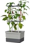 Gusta Garden Anzuchtsgef&auml;&szlig; Charly Chili 10 L hellgrau