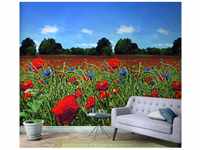 Marburg Vliestapete Floral Tulpen Rot-Grün 270 cm x 159 cm FSC®