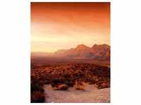 Marburg Vliestapete Dune DD Digitaldruck Orange-Rot 270 x 212 cm FSC®