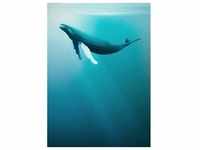 Komar Vliesfototapete Artsy Humpback Whale 200 cm x 250 cm