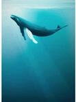 Komar Vliesfototapete Artsy Humpback Whale 200 cm x 280 cm