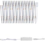 Paulmann LED-Strip Full-Line MaxLED 500 COB Basisset 19W 600lm 6500K 36V