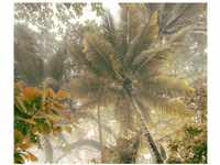 Komar Fototapete Palms Panorama 300 cm x 250 cm