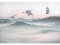 Komar Fototapete Vlies Mystic Cranes 400 x 280 cm