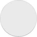 vidaXL Wandspiegel Silbern &Oslash; 60 cm Rund 348177