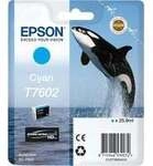 Tinte cyan C13T76024010