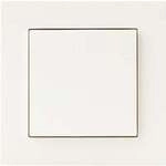 Light Switch, Schalter