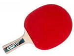 Tischtennisschl&auml;ger Legends 1000 FSC, Fitnessger&auml;t