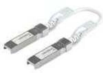 UniFi DAC Uplink Kabel