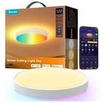 38cm Intelligente RGBICWW Deckenleuchte Pro, LED-Leuchte