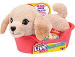 Little Live Pets My Really Real S2 Puppy Mini - Buddy, Kuscheltier