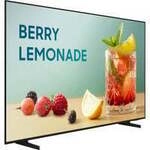 BE65FX-H Business TV, Public Display