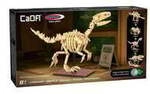 Dinosaurier Fossil Velociraptor im Ma&szlig;stab 1:9, Modellbau