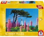 Leuchtturm Dornbusch, Hiddensee, Puzzle